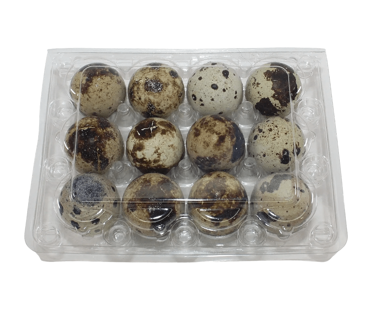 Egg Cartons & Shippers