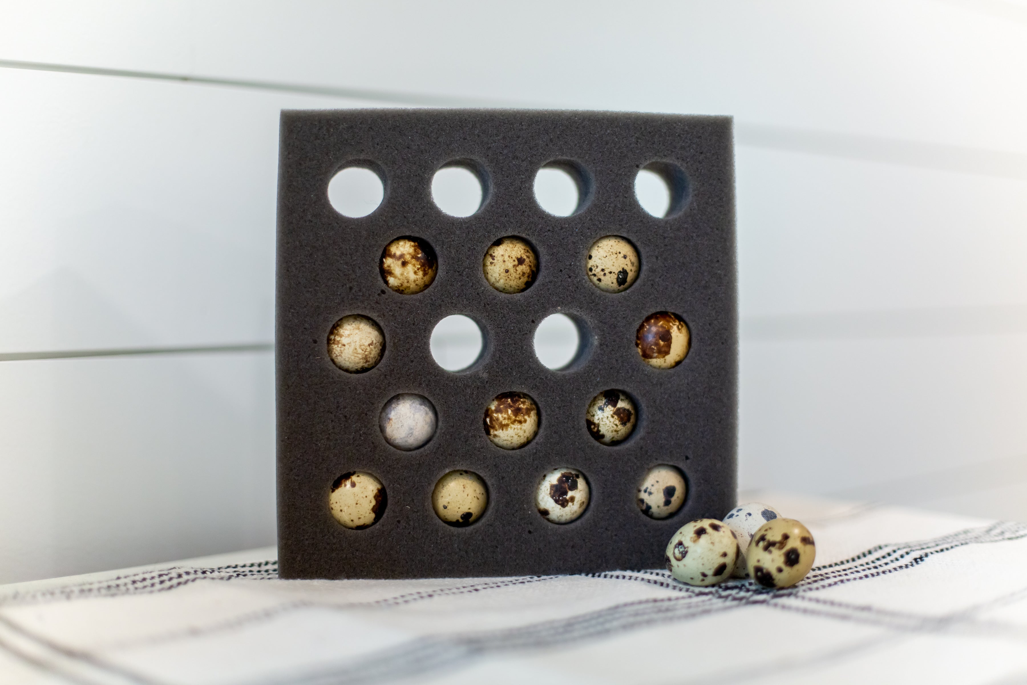 18 Egg Quail Foam Shipper (Standard Size)