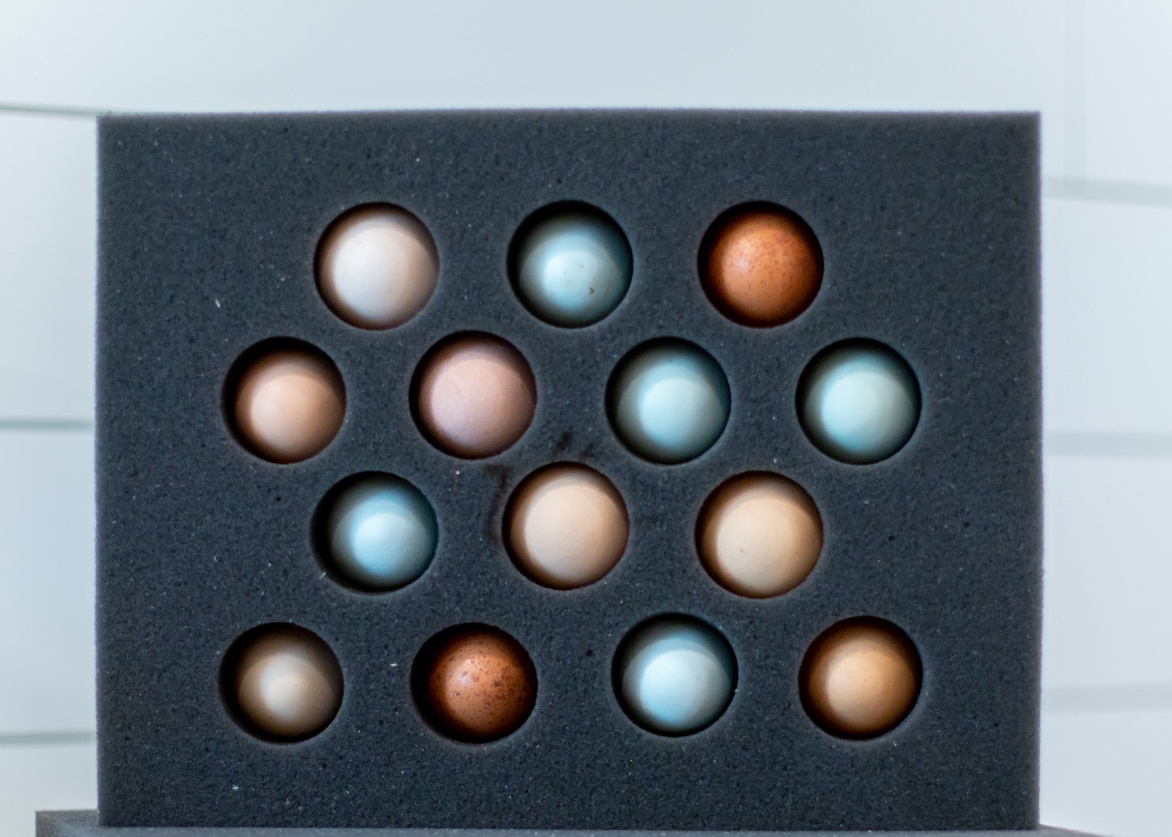 14 Egg Foam Shipper Set (Standard)