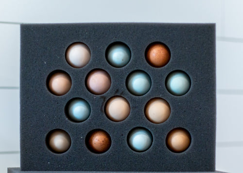 14 Egg Foam Shipper Set (Standard)