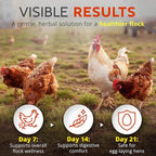 WormStop – Natural Dewormer for Chickens