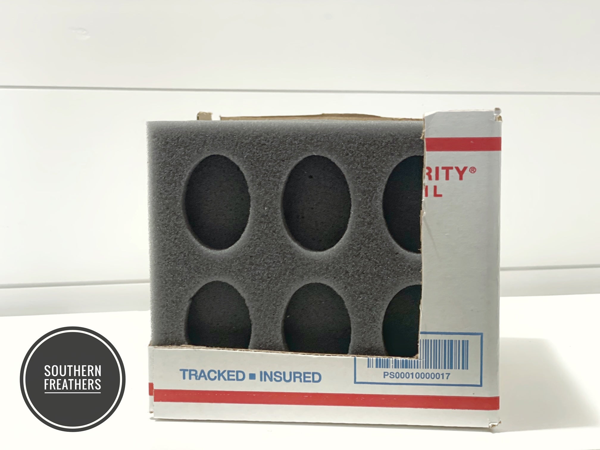6 Egg Oblong Foam Shipper