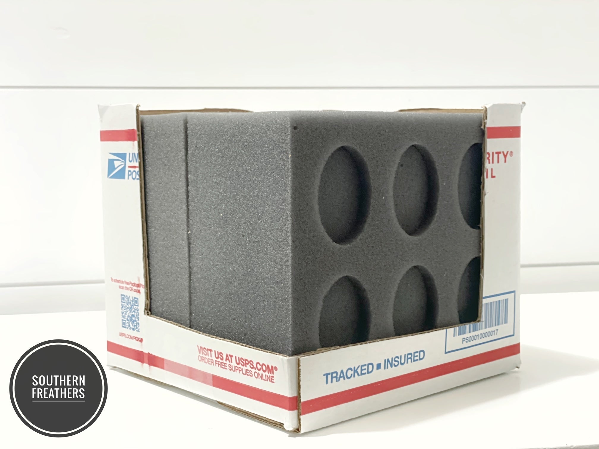 12 Egg Oblong Foam Small Kit (Standard)
