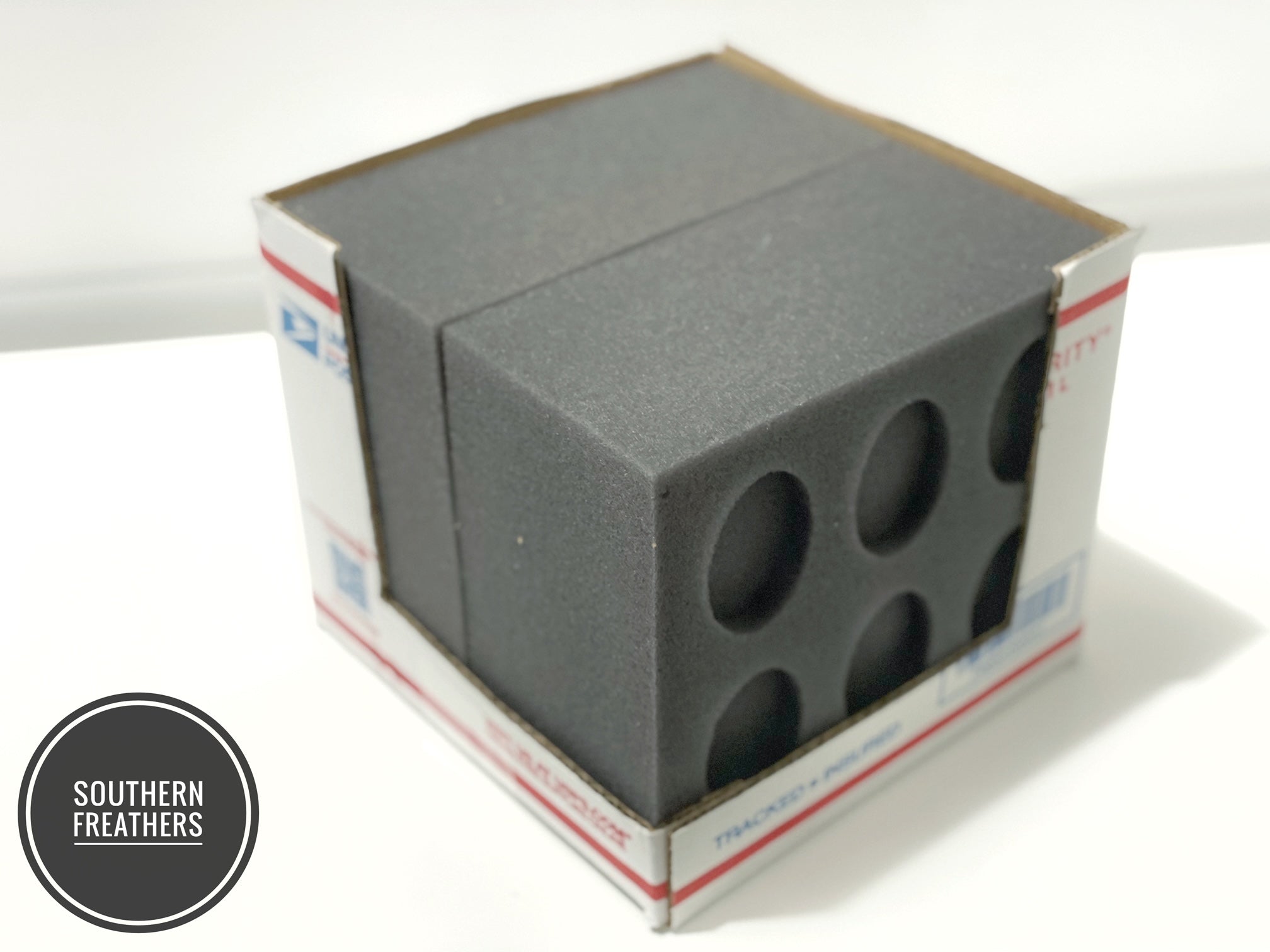 6 Egg Oblong Foam Shipper