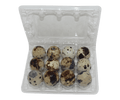 12-cell Jumbo Quail Egg Cartons (3x4)