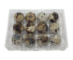 12-cell Jumbo Quail Egg Cartons (3x4)