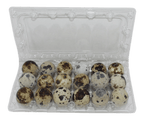 18-cell Jumbo Quail Egg Cartons (3x6)