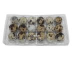 18-cell Jumbo Quail Egg Cartons (3x6)