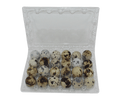 24-cell Jumbo Quail Egg Cartons (4x6)