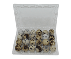 24-cell Jumbo Quail Egg Cartons (4x6)